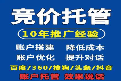 某电商平台的SEM营销推广实战经验